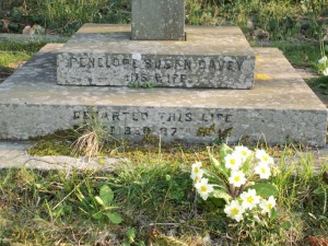 Janette Gregson