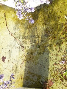 Janette Gregson