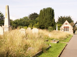 Summer in Ryde Cemetery